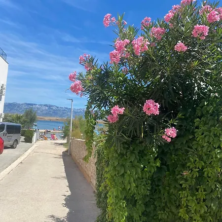 شقة Gedeon فير