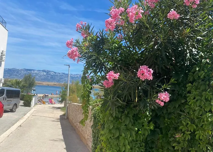 아파트 Gedeon 비르